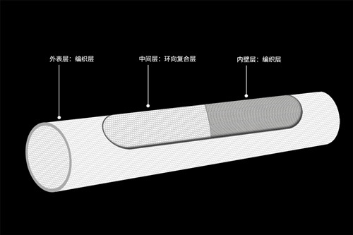 bwfrp�����w�S�������D��